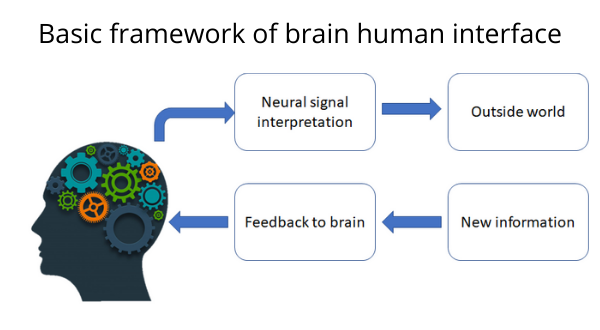Neuralink basic frame work - What is neuralink -Verzeo