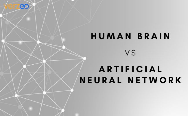 Difference between human brain vs artificial neural network - Verzeo